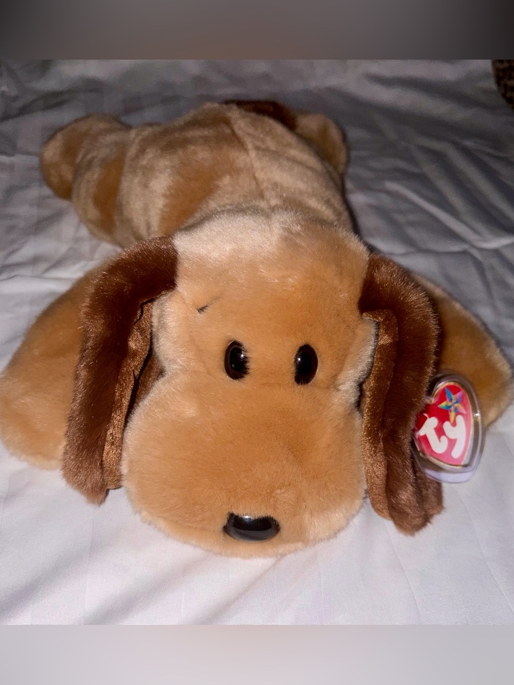 2000 TY Beanie Buddy “Bones” the Dog in mint condition with tag protector